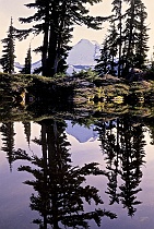 Tarn Reflection & Mt. Baker (v)